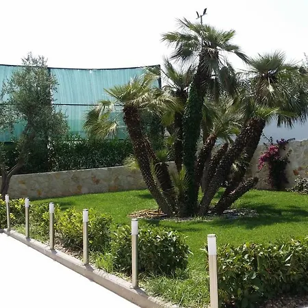 Mirage בארי